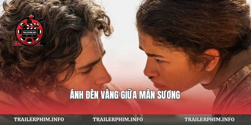 Ánh đèn vàng giữa màn sương