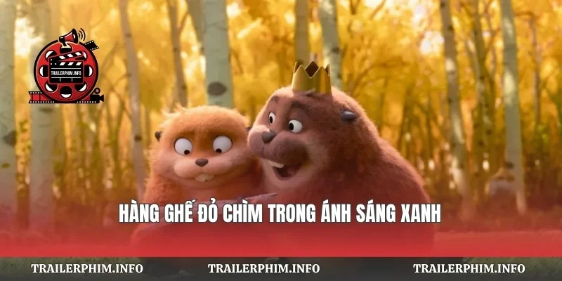 Hàng ghế đỏ chìm trong ánh sáng xanh