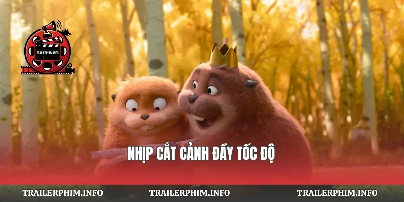 Nhịp cắt cảnh đầy tốc độ